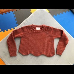 Wilfred (Aritzia) crop sweater
